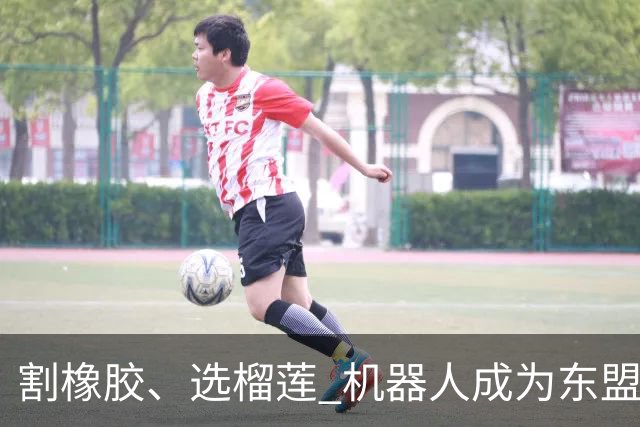 割橡胶、选榴莲 机器人成为东盟市场“新宠” 各国释放明确需求信号